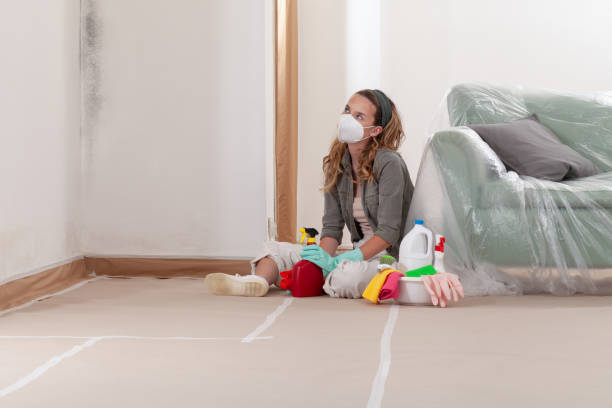 Reliable Mold Remediation contractor in Ijamsville, MD by WQB Mold Removal